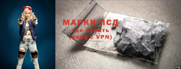 мдпв Бородино