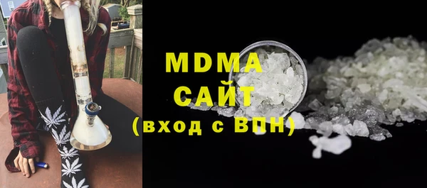 мдпв Бородино