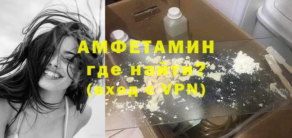 мдпв Бородино