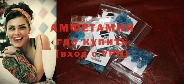 мдпв Бородино